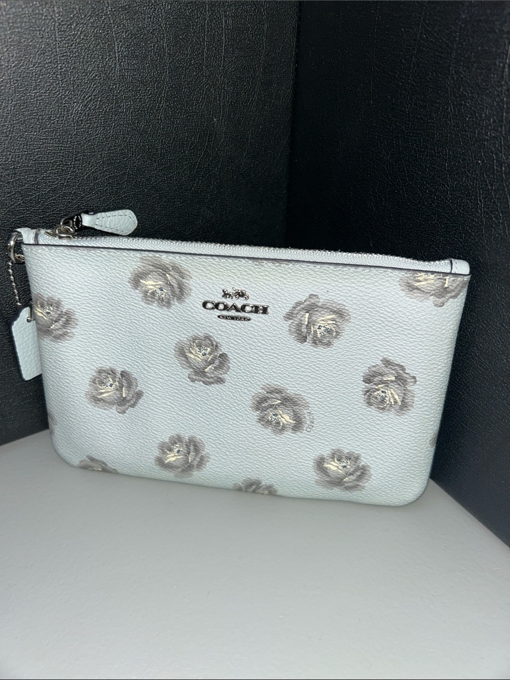 Coach Zipper Pouch